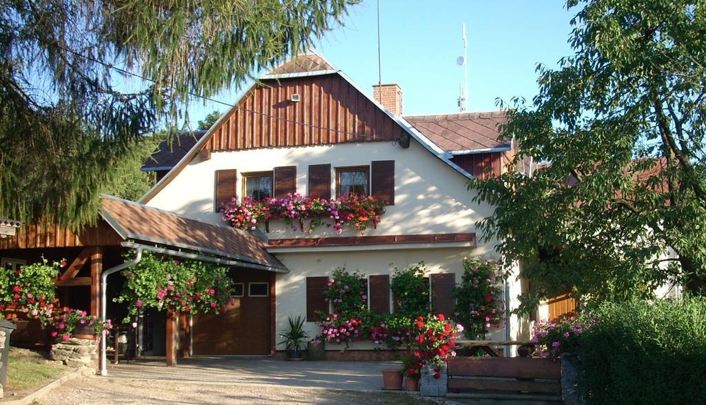 Pension Ivanka Jestrabi V Krkonosich 外观 照片